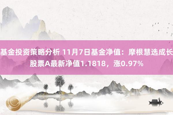 基金投资策略分析 11月7日基金净值：摩根慧选成长股票A最新净值1.1818，涨0.97%