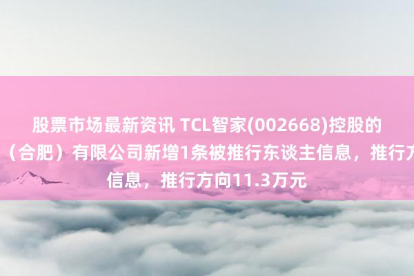 股票市场最新资讯 TCL智家(002668)控股的TCL家用电器（合肥）有限公司新增1条被推行东谈主信息，推行方向11.3万元