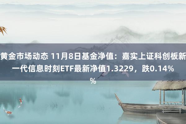 黄金市场动态 11月8日基金净值：嘉实上证科创板新一代信息时刻ETF最新净值1.3229，跌0.14%