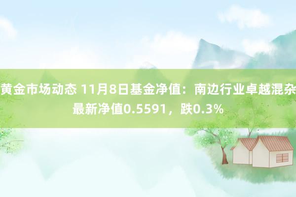 黄金市场动态 11月8日基金净值：南边行业卓越混杂最新净值0.5591，跌0.3%