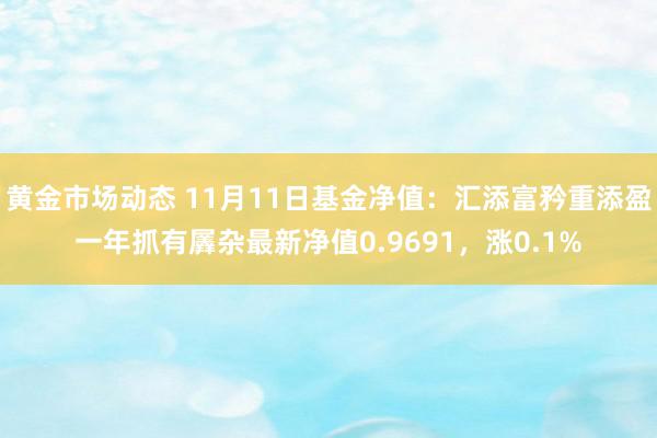 黄金市场动态 11月11日基金净值：汇添富矜重添盈一年抓有羼杂最新净值0.9691，涨0.1%