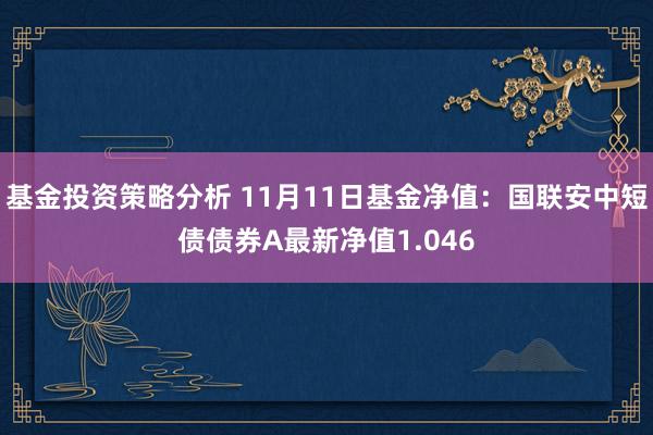 基金投资策略分析 11月11日基金净值：国联安中短债债券A最新净值1.046