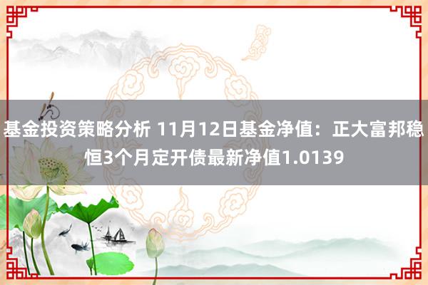 基金投资策略分析 11月12日基金净值：正大富邦稳恒3个月定开债最新净值1.0139