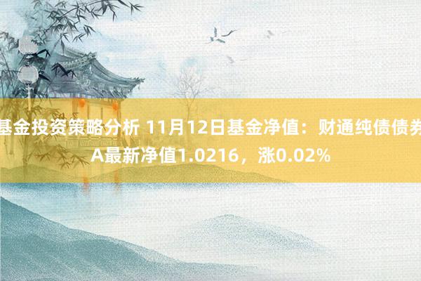 基金投资策略分析 11月12日基金净值：财通纯债债券A最新净值1.0216，涨0.02%