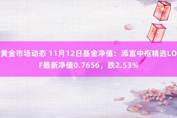 黄金市场动态 11月12日基金净值：添富中枢精选LOF最新净值0.7656，跌2.53%