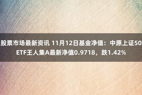 股票市场最新资讯 11月12日基金净值：中原上证50ETF王人集A最新净值0.9718，跌1.42%