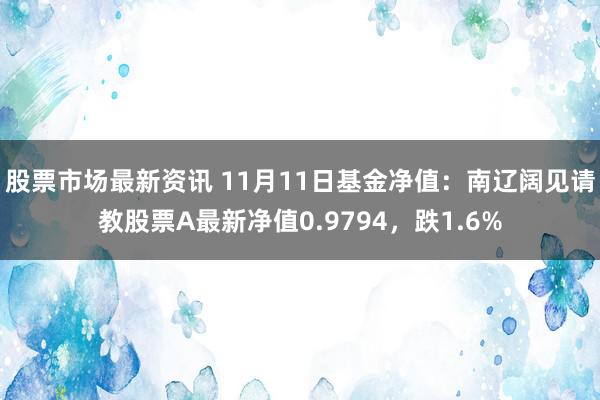 股票市场最新资讯 11月11日基金净值：南辽阔见请教股票A最新净值0.9794，跌1.6%