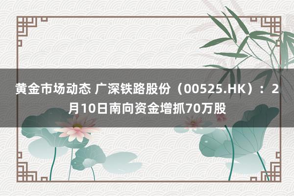 黄金市场动态 广深铁路股份（00525.HK）：2月10日南向资金增抓70万股