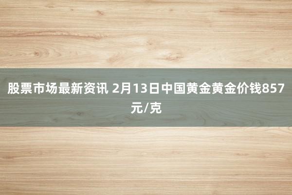 股票市场最新资讯 2月13日中国黄金黄金价钱857元/克