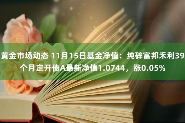 黄金市场动态 11月15日基金净值：纯碎富邦禾利39个月定开债A最新净值1.0744，涨0.05%