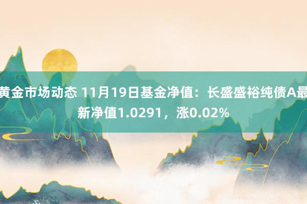 黄金市场动态 11月19日基金净值：长盛盛裕纯债A最新净值1.0291，涨0.02%