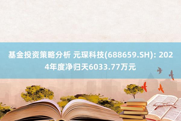 基金投资策略分析 元琛科技(688659.SH): 2024年度净归天6033.77万元