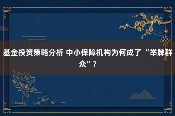 基金投资策略分析 中小保障机构为何成了 “举牌群众”？