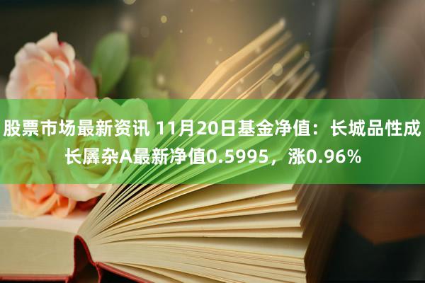 股票市场最新资讯 11月20日基金净值：长城品性成长羼杂A最新净值0.5995，涨0.96%