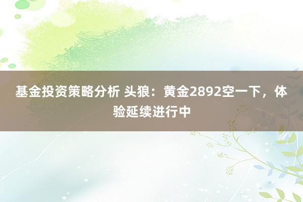 基金投资策略分析 头狼：黄金2892空一下，体验延续进行中