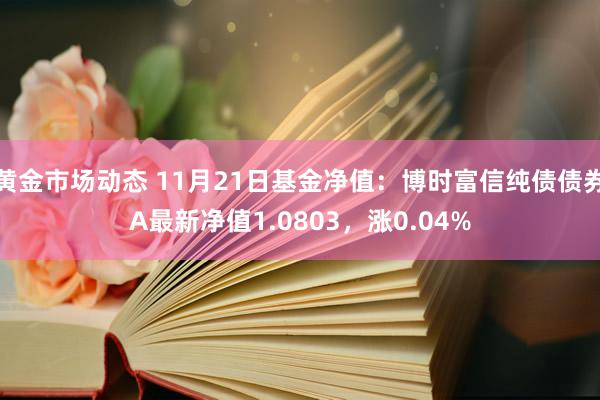 黄金市场动态 11月21日基金净值：博时富信纯债债券A最新净值1.0803，涨0.04%