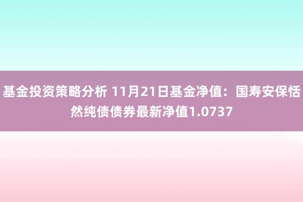 基金投资策略分析 11月21日基金净值：国寿安保恬然纯债债券最新净值1.0737