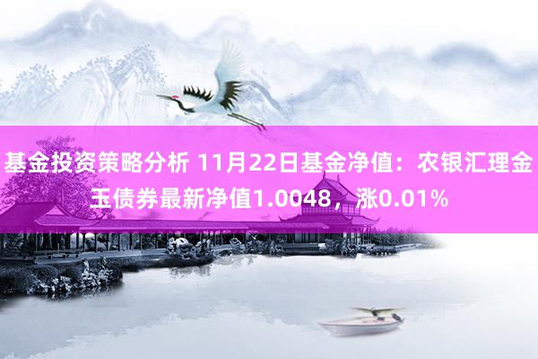 基金投资策略分析 11月22日基金净值：农银汇理金玉债券最新净值1.0048，涨0.01%