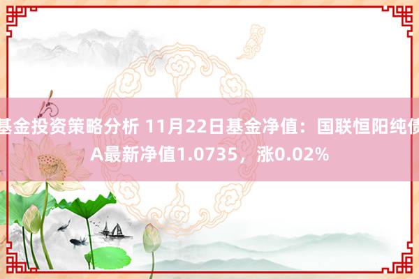 基金投资策略分析 11月22日基金净值：国联恒阳纯债A最新净值1.0735，涨0.02%