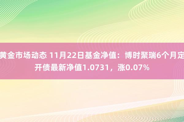 黄金市场动态 11月22日基金净值：博时聚瑞6个月定开债最新净值1.0731，涨0.07%