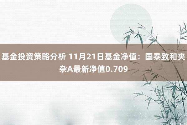 基金投资策略分析 11月21日基金净值：国泰致和夹杂A最新净值0.709