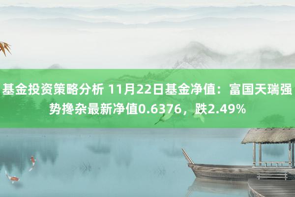 基金投资策略分析 11月22日基金净值：富国天瑞强势搀杂最新净值0.6376，跌2.49%