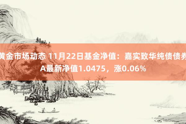 黄金市场动态 11月22日基金净值：嘉实致华纯债债券A最新净值1.0475，涨0.06%