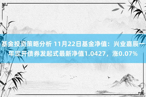 基金投资策略分析 11月22日基金净值：兴业嘉辰一年定开债券发起式最新净值1.0427，涨0.07%