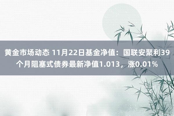 黄金市场动态 11月22日基金净值：国联安聚利39个月阻塞式债券最新净值1.013，涨0.01%