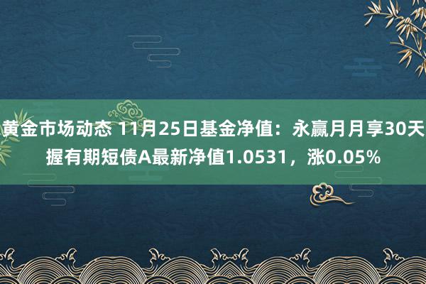 黄金市场动态 11月25日基金净值：永赢月月享30天握有期短债A最新净值1.0531，涨0.05%