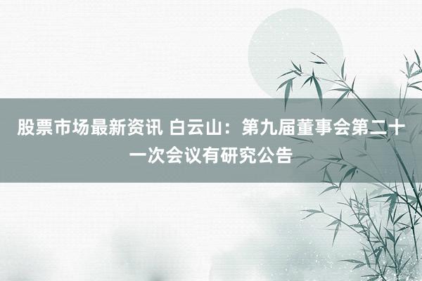 股票市场最新资讯 白云山：第九届董事会第二十一次会议有研究公告