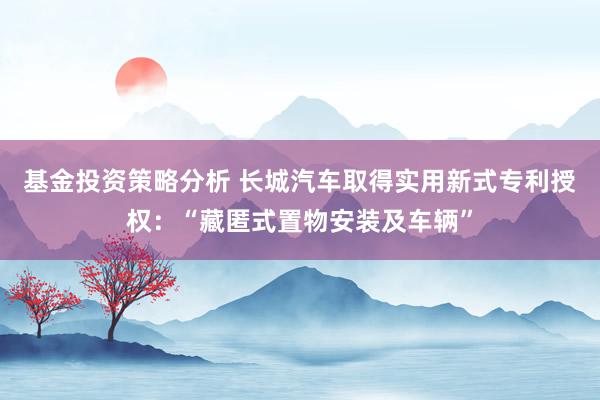 基金投资策略分析 长城汽车取得实用新式专利授权：“藏匿式置物安装及车辆”