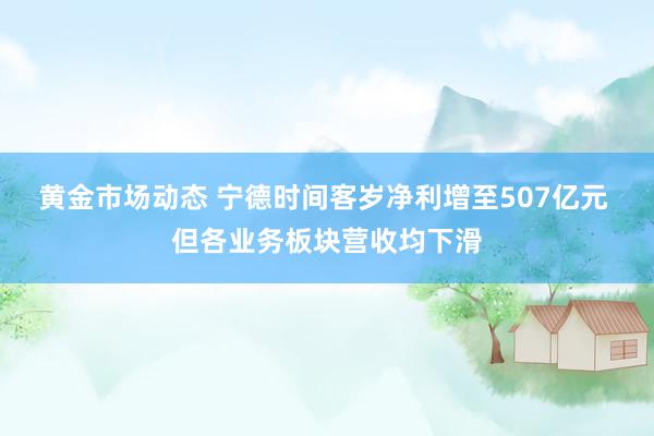 黄金市场动态 宁德时间客岁净利增至507亿元 但各业务板块营收均下滑