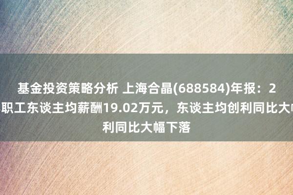 基金投资策略分析 上海合晶(688584)年报：2024年职工东谈主均薪酬19.02万元，东谈主均创利同比大幅下落