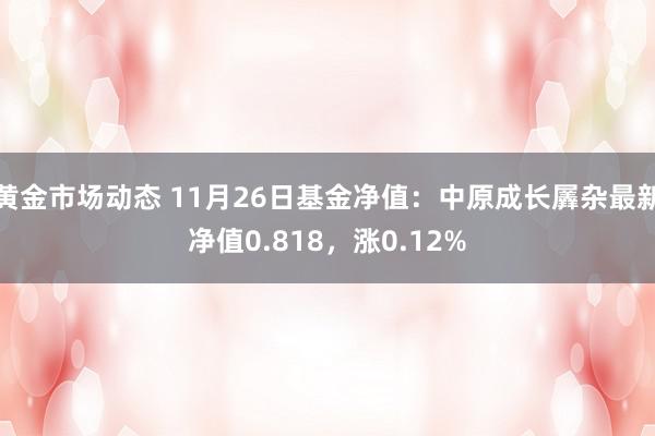 黄金市场动态 11月26日基金净值：中原成长羼杂最新净值0.818，涨0.12%