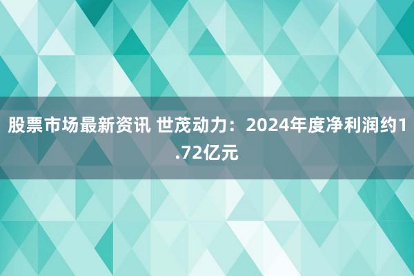 股票市场最新资讯 世茂动力：2024年度净利润约1.72亿元