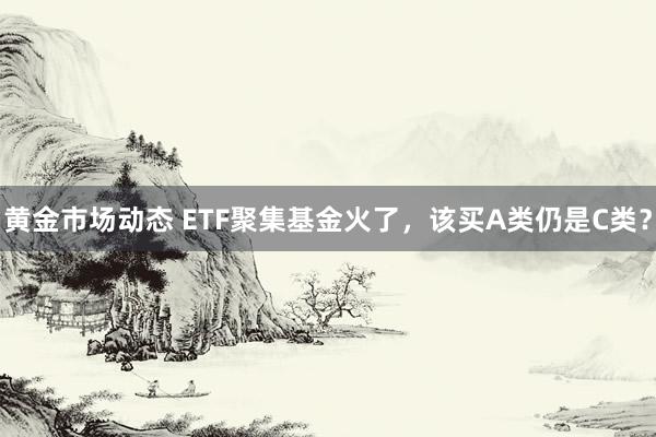 黄金市场动态 ETF聚集基金火了，该买A类仍是C类？